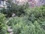 A small rain garden (wetland) at Teardrop Park, inside the Battery Park City development in Lower Manhattan, infiltrates all stormwater from the site and also stormwater from the adjacent apartment towers. The park makes extensive use of plants and materials from the Hudson River valley. Battery Park City, developed from a proto-New Urbanist plan by Cooper, Robertson, has made a strong commitment to green building; several adjacent apartment towers are LEED-certified, incorporating advanced environmental features like photovoltaic panels and on-site blackwater recycling.

Landscape architect: Michael Van Valkenburgh Associates. Owned and managed by Battery Park City Authority.